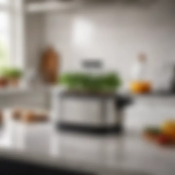 A sleek stand alone steamer on a kitchen countertop