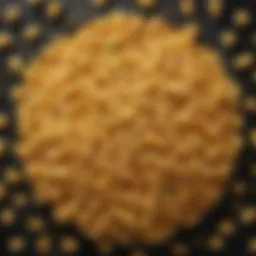 A close-up view of zero calorie pasta on a plate, showcasing its texture and appearance.
