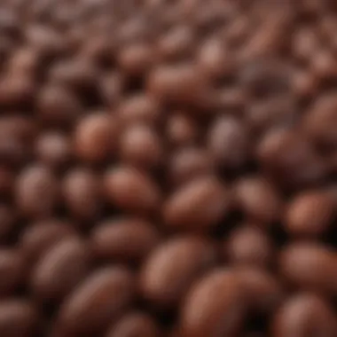 The Essence of Valrhona: Quality Cocoa Beans Close-up of Valrhona cocoa beans highlighting their rich color and quality