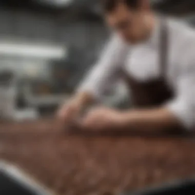 Valrhona chocolate production facility emphasizing artisanal craftsmanship and meticulous attention to detail